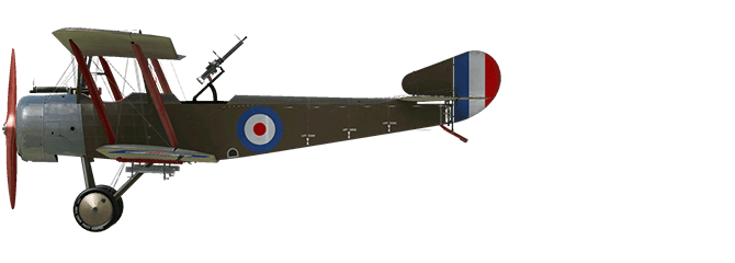 Sopwith Strutter